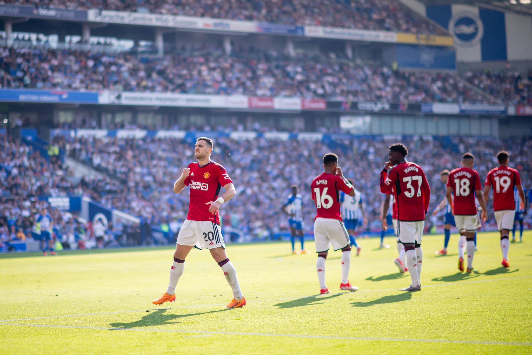 帮助理解马 帮助理解马